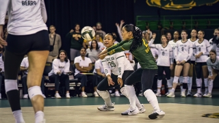 Baylor Volleyball’s Briseño Earns Big 12 Defensive Player of the Week