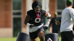 Alphas Emerge: The Bears Who Have Become Undeniable Presences